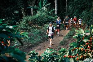 BIB: 
                            <button type="button" onclick="openModal(25817846)" class="btn btn-primary btn-sm float-right btn-popup" data-toggle="modal" data-target=".modal-high-quality">
                        <i class="fas fa-shopping-cart"></i> Add to Cart
                    </button>
                                            <button type="button" onclick="isThisMe(25817846, true)" class="btn btn-success btn-sm float-right btn-popup btn-isme hidden" data-toggle="tooltip" data-placement="bottom" title="นี่คือรูปของคุณใช่ไหม คลิกที่นี่เพื่อเอาเข้าอัลบั้ม">
                        <i class="fas fa-plus"></i> Add to album
                    </button>
                    <button type="button" onclick="isThisMe(25817846, false)" class="btn btn-warning btn-sm float-right btn-popup btn-isnotme hidden">
                        <i class="fas fa-ban"></i> Remove from album
                    </button>